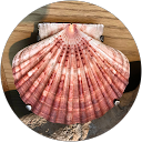 Manuel Macedo profile picture